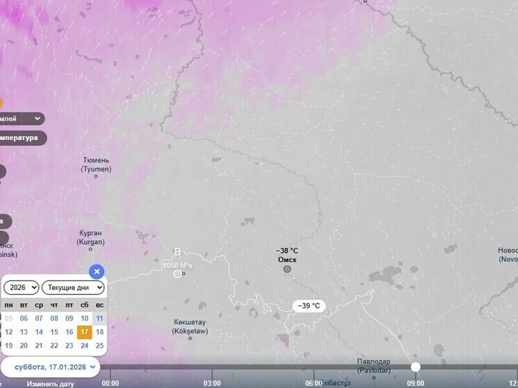 На следующей неделе в Омск нагрянут морозы до −38