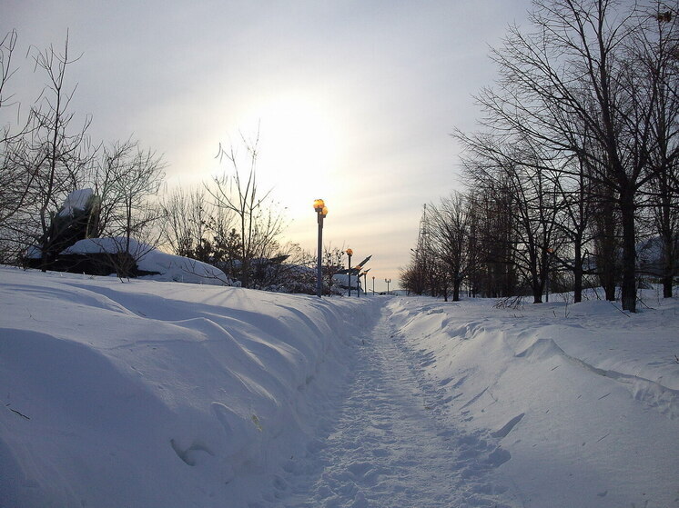 Погода в Саратове 11 января будет маловетреной, но холодной