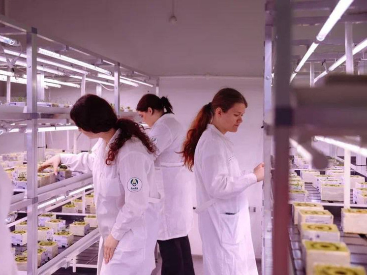 В колледжах Приамурья откроют шесть высокотехнологичных мастерских