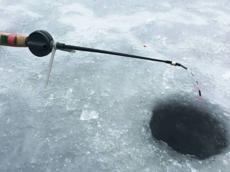 Рыбак из Салехарда поймал полсотни хариусов в праздники