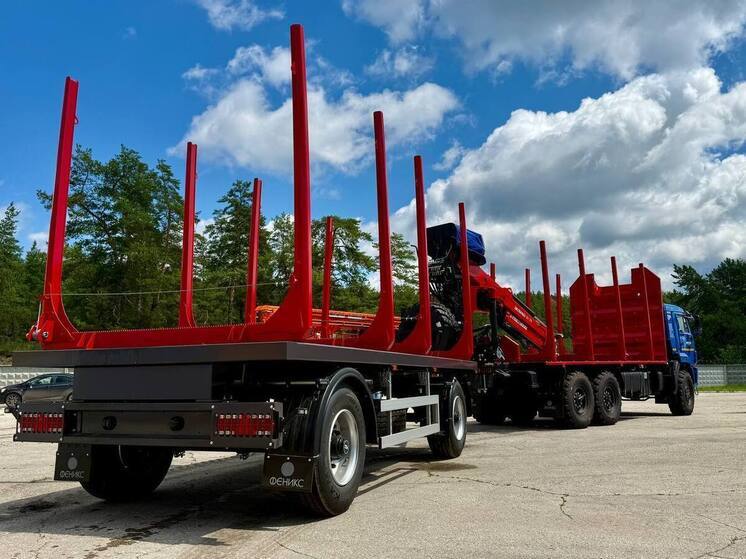 Самарское Минприроды рассказало о технике и посадках в лесах в 2025 году