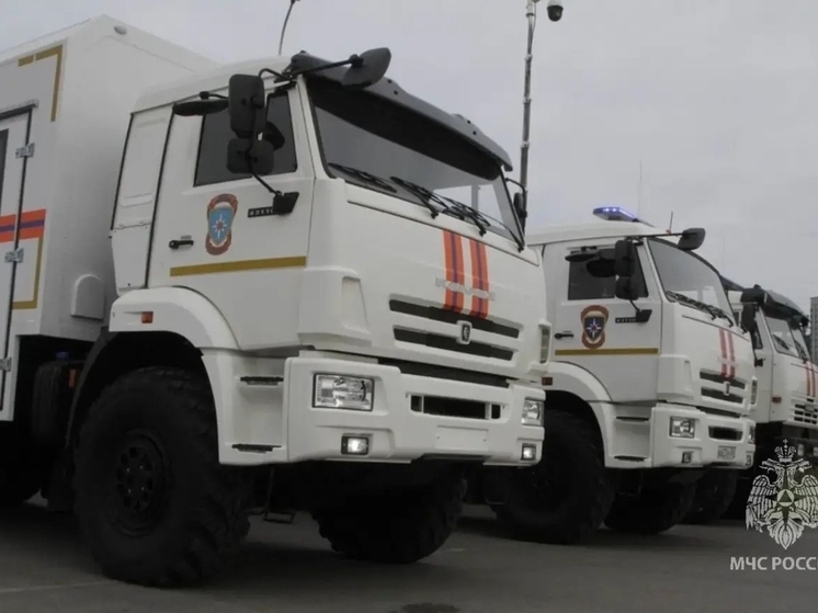 В Ростовской области за сутки 10 января произошло пять техногенных пожаров