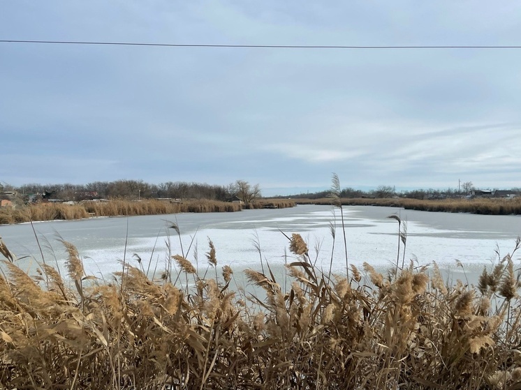 В первую рабочую неделю 2026 года Ростовскую область накроют морозы до -15 градусов