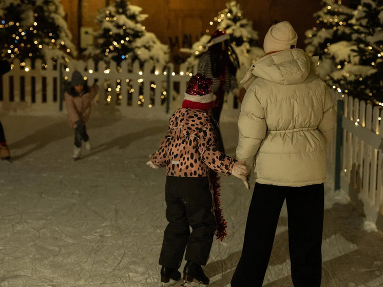 В Калужской области открыли самый миниатюрный каток