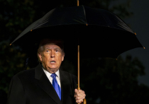 Наступивший 2026 год с политической точки зрения интересен не только внешнеполитическими эскападами Трампа, но и грядущими промежуточными выборами в США, которые запланированы на 3 ноября