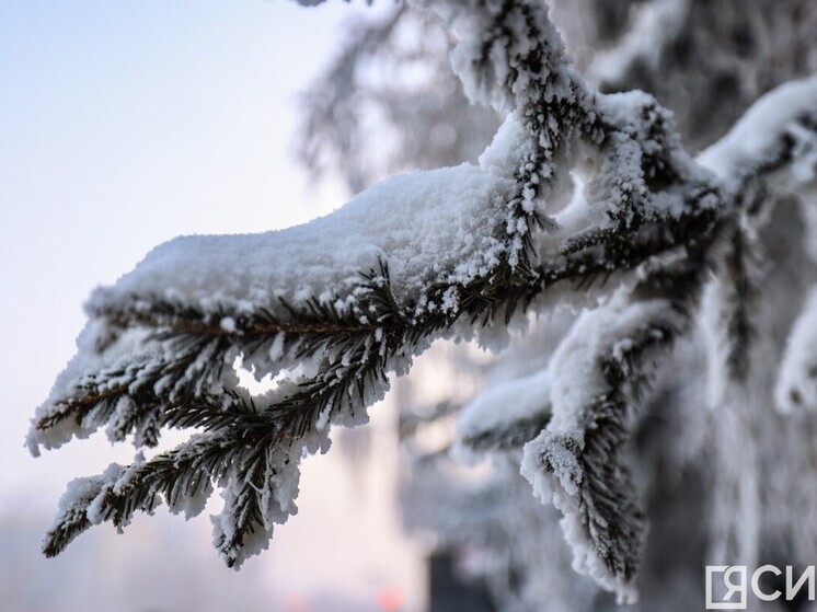 Прогноз погоды в Якутии на завтра, 12 января
