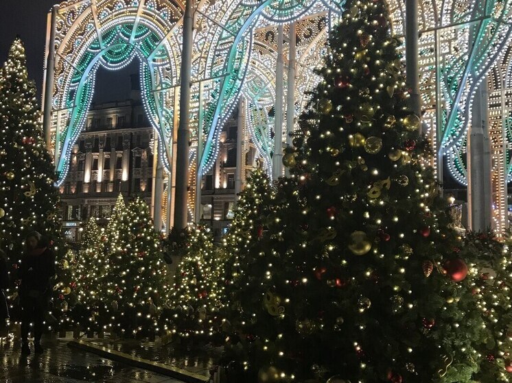 Пензенцам рассказали, как утилизировать елку после праздников