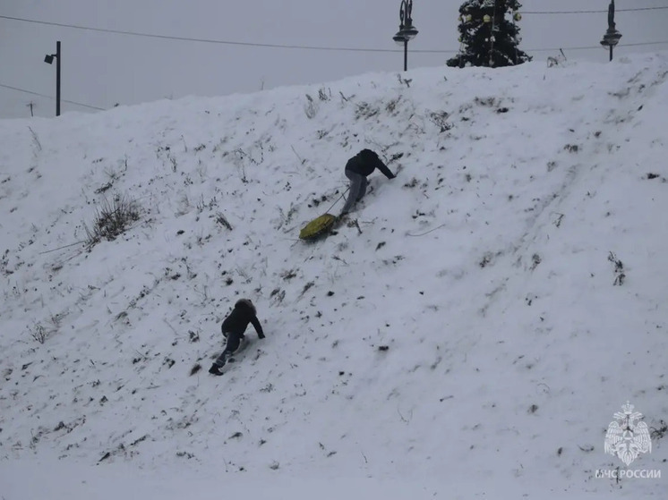 В Орле в Детском парке запретили кататься с горок