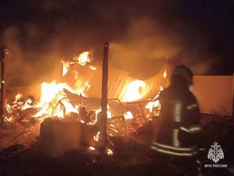 Спасателям удалось остановить огонь, пожиравший баню в Новгородской области