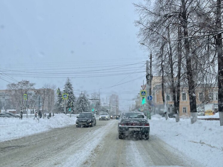 В Пензенской области обещают метель 12 января