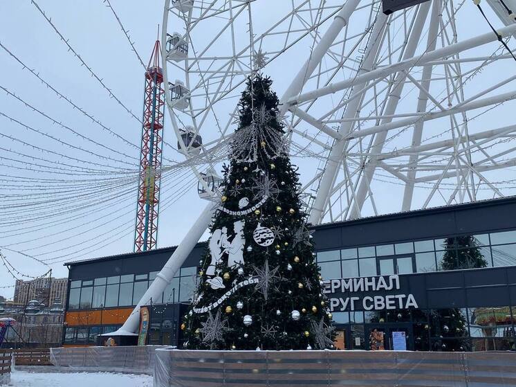 Омская область прошла в финал «Ёлок России»