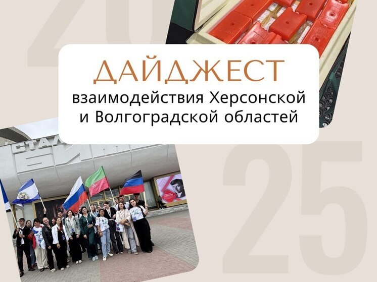 В Херсонской области подвели итоги сотрудничества с волгоградцами