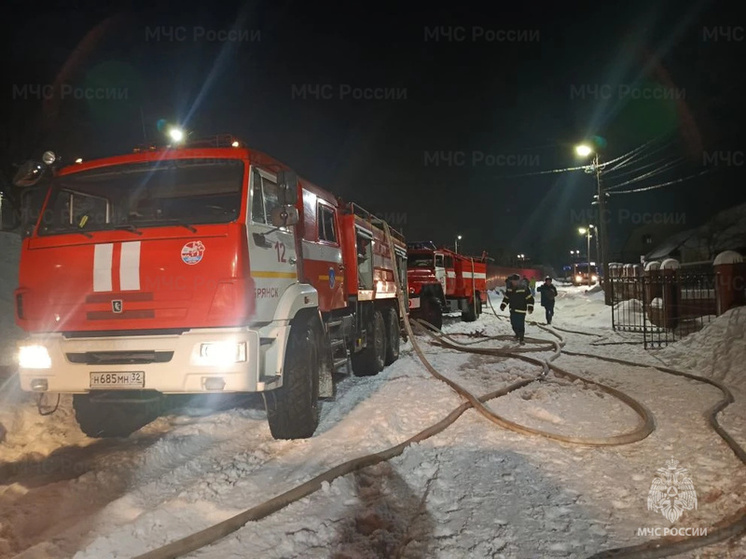 В брянском поселке Чайковичи спасатели потушили пожар
