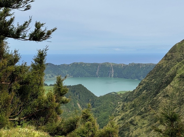 Численность кабанов подросла на Орловщине