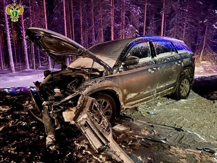 9 человек, пятеро из которых дети, пострадали в серьезном ДТП на трассе в Карелии