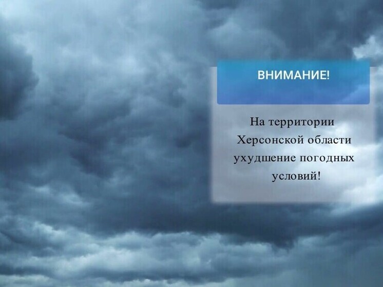 В Херсонской области ГАИ предупредила водителей об опасной дороге 11 января
