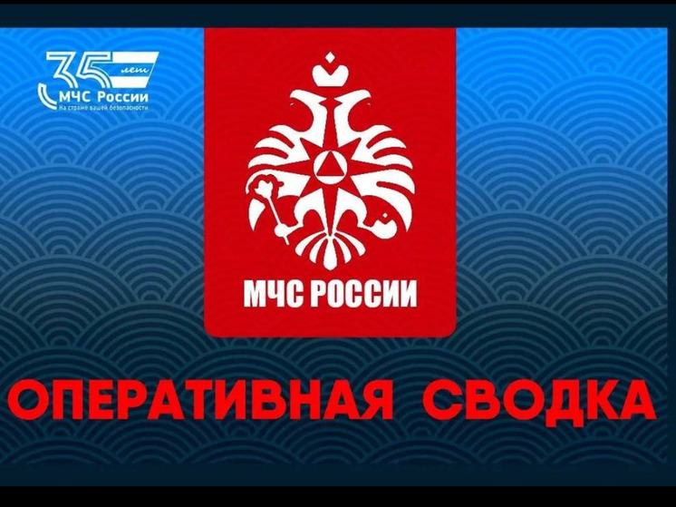 Сотрудники МЧС ликвидировали ряд возгораний на территории Смоленской области