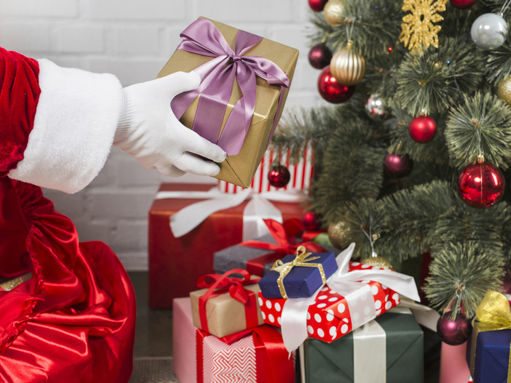 Дед Мороз с единороссами доставили новогодние подарки жителям запорожских сёл