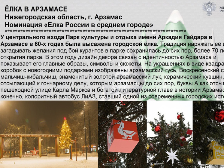 Нижегородские ёлки поборются за звание лучших в стране