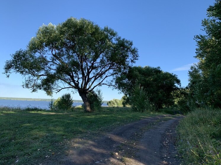 Жителей Пензенской области поздравили с Днем заповедников и национальных парков