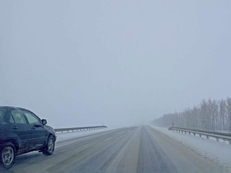 В Саратовской области объявили предупреждение из-за снегопада и гололедицы