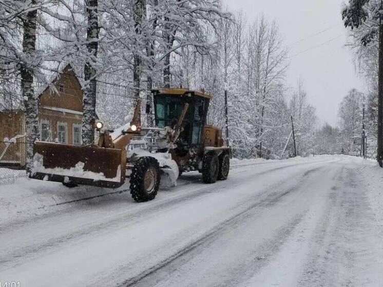 Снегопад обесточил два поселка в Карелии