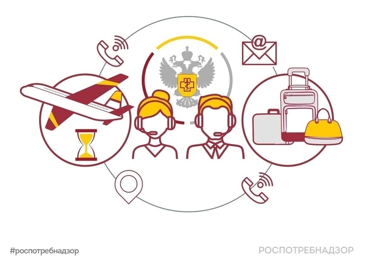 Псковичам, не получившим багаж в столичном аэропорту, рассказали, что делать