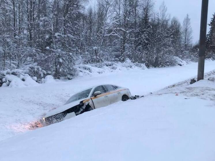 В Чудовском округе машину занесло в кювет и уличный фонарь: пострадала женщина