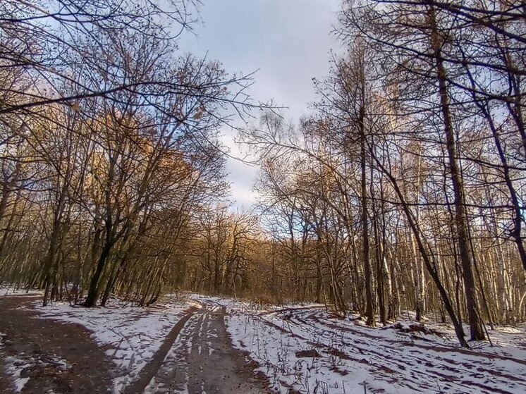 В Саратовской области создали три новых памятника природы