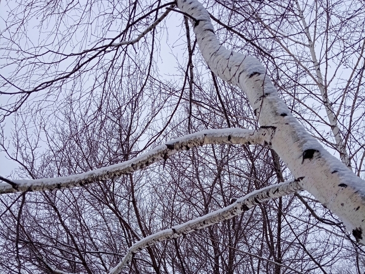 Сила магнитной бури 12 января составит 4 балла: идеальная пора для любых начинаний