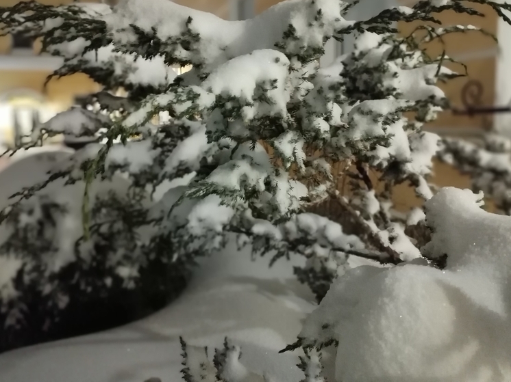 Валдайцев поздравили с Днем День заповедников и национальных парков