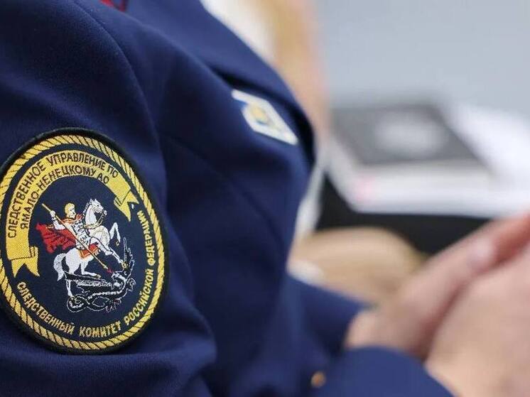 В Новом Уренгое следователи начали проверку из-за нападения на подростка