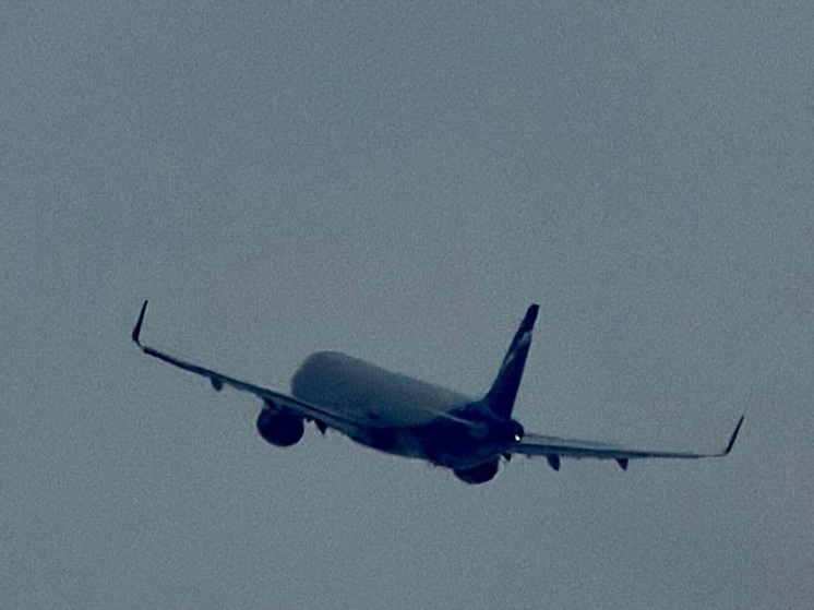 Снежный коллапс в Москве добрался до Оренбурга: задержаны рейсы на Питер и в столицу