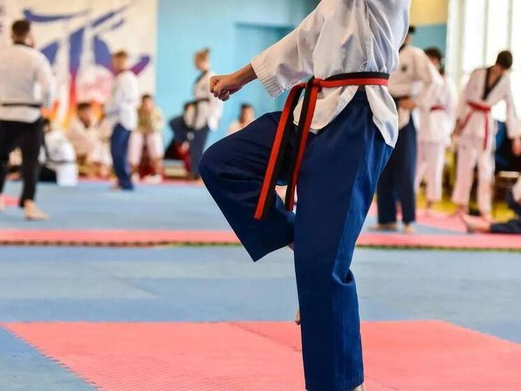 В Салехарде стартовало первенство ЯНАО по тхэквондо среди юниоров