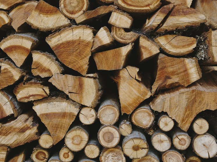 Житель Задонского района задержан за кражу дров с использованием чужого грузовика