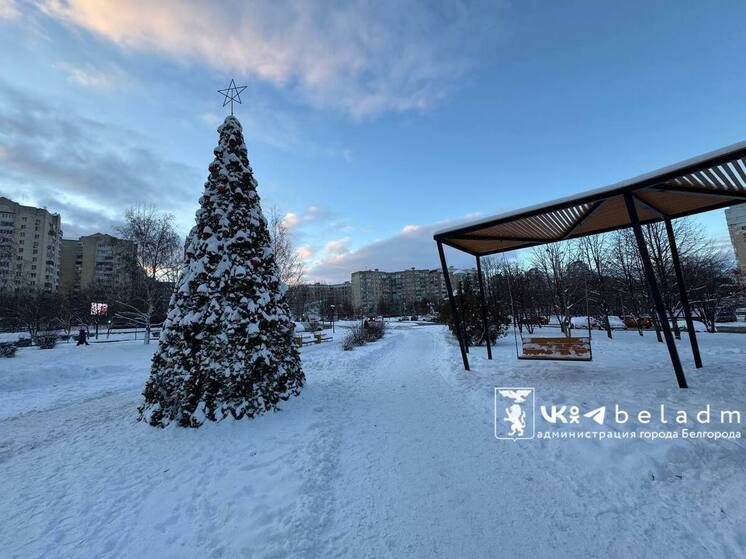 Белгородцев пригласили поддержать облцентр в конкурсе «Елки России»