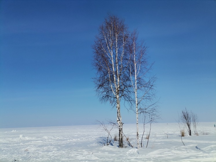 В Бурятии ожидается резкое похолодание и метели