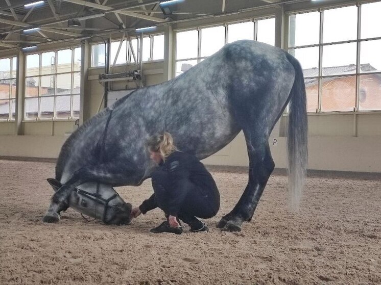 Хакасский ипподром отметит вековой юбилей