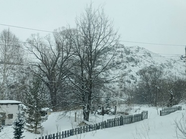 На Алтайский край надвигаются снегопады и метели