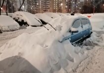 Проверенный способ отомстить управляющей компании за нерасчищенные дворы испробовали жители подмосковных Химок