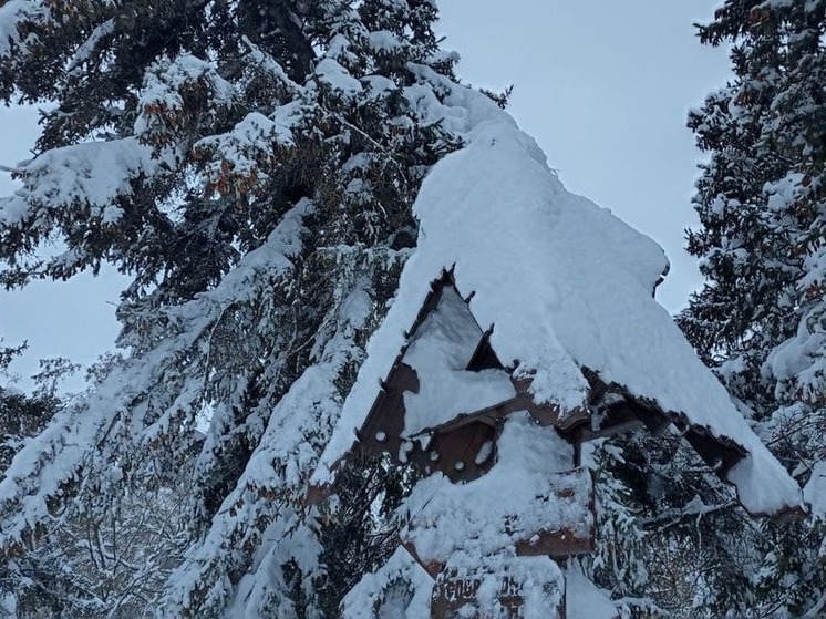 В Саратовской области закрыли сезон охоты на косулю, лося и оленя