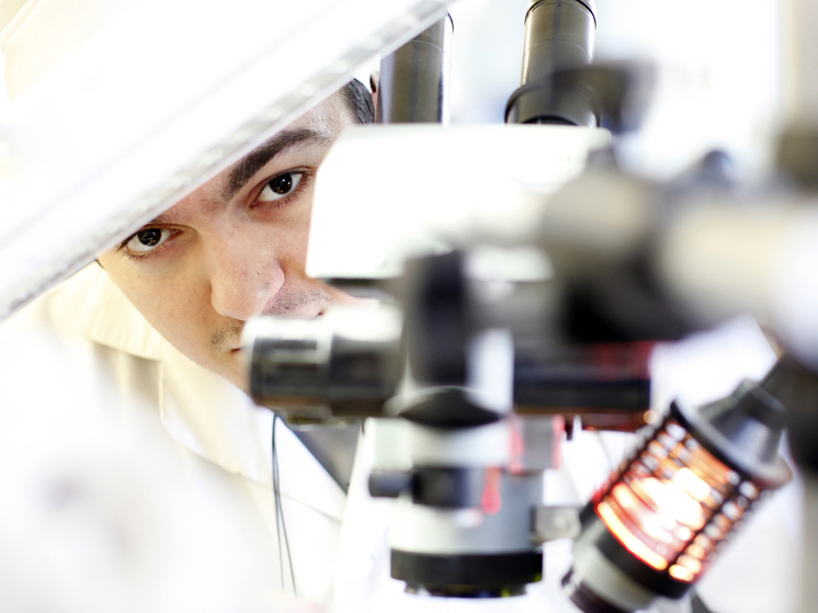 Учёные открыли гигантский вирус, который может объяснить происхождение жизни