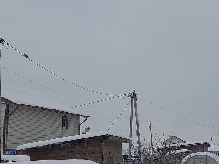 Калужским операторам связи напомнили о запрете на незаконные подвесы