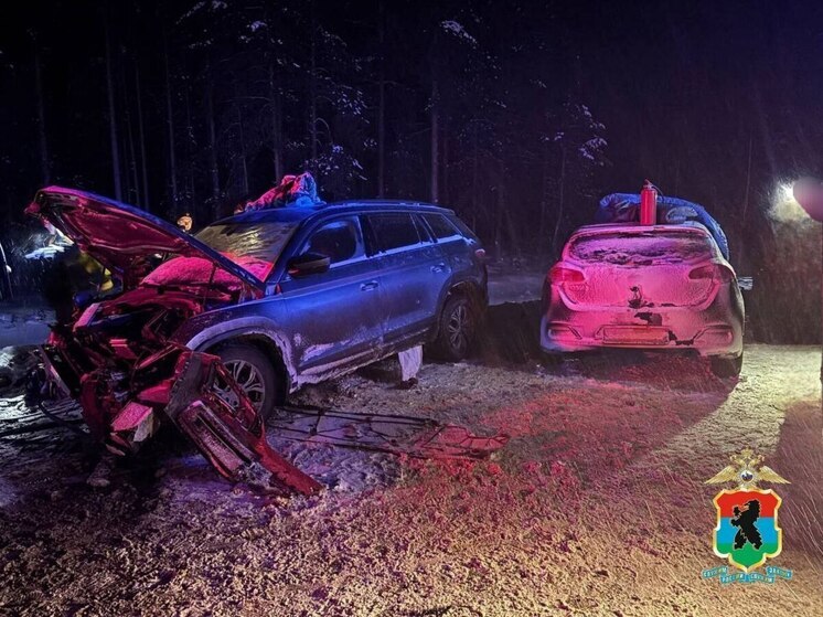 Петербурженка и еще восемь человек пострадали в ДТП на трассе Кола в Карелии