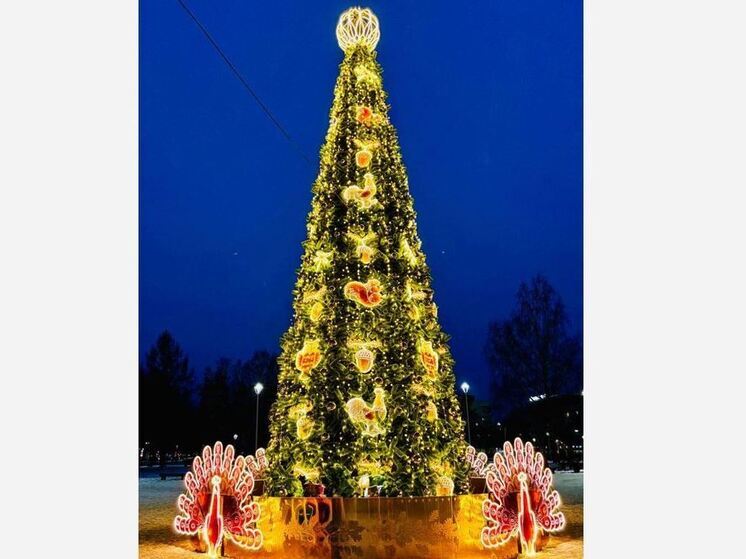 Городу Тихвину очень нужны голоса ленинградцев на конкурсе «Елки России»