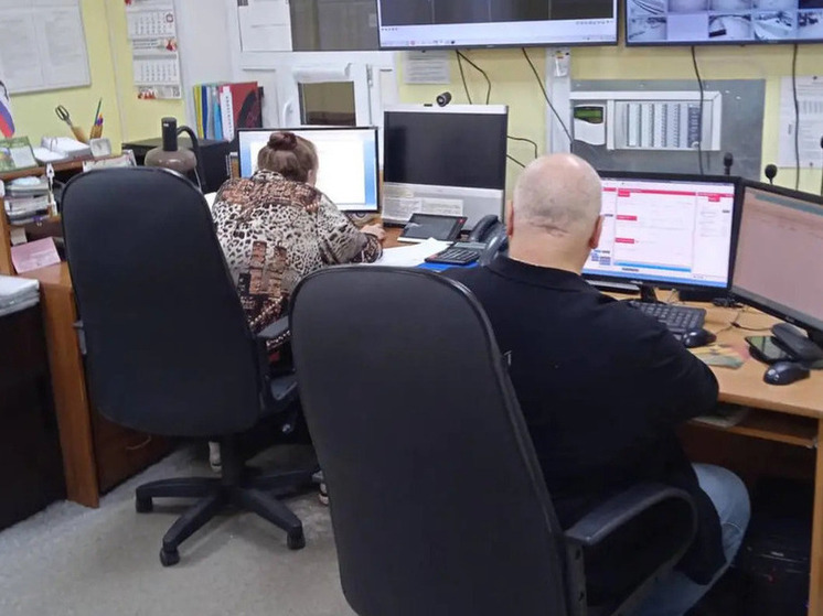 Оставшиеся без электричества новгородцы оставили 50 заявок в МЧС за минувшие сутки