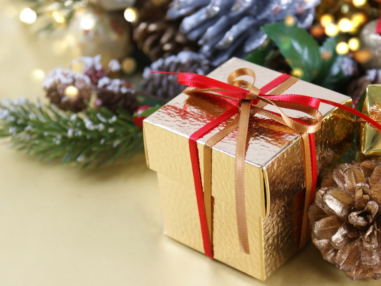 Шефы из Марий Эл создали новогоднюю атмосферу в Куйбышевском районе