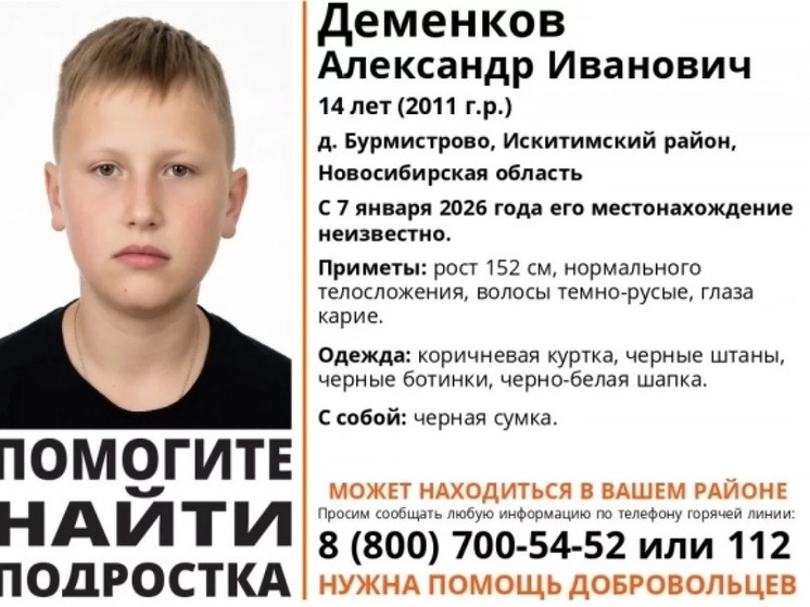 В Искитимском районе НСО продолжаются поиски пропавшего 14-летнего подростка