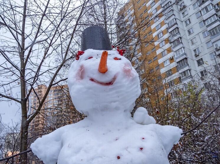 В Оренбурге заботливый тракторист при расчистке дворов спас снеговика