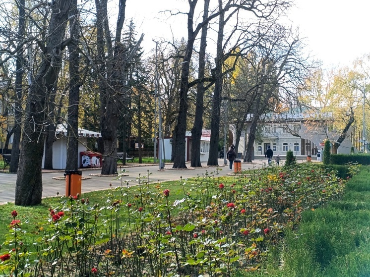 В Ставрополе число субъектов МСП приблизилось к 100 тысячам